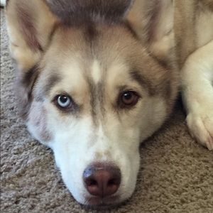 Meet your Posher, Shawnna